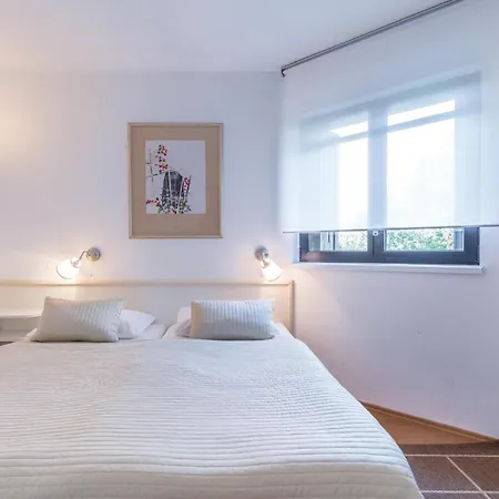 Apartment Dracice VI Apartment *