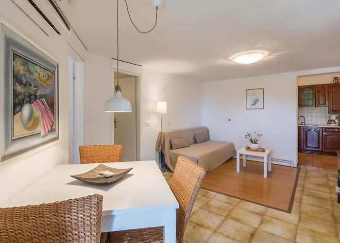 Dracice Vi 아파트 *