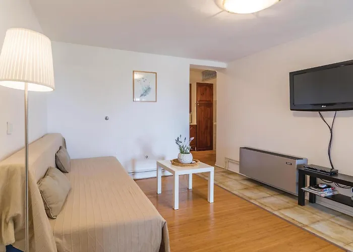 Dracice Vi 아파트 풀라