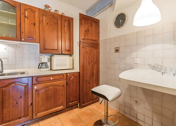 Dracice Vi 아파트 *