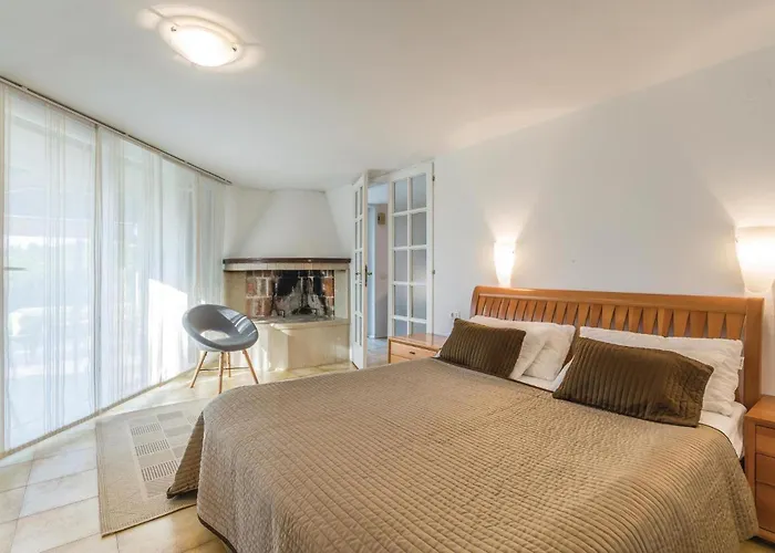 Dracice Vi 아파트