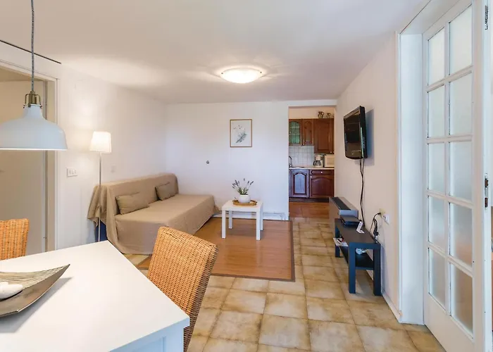 아파트 Dracice Vi