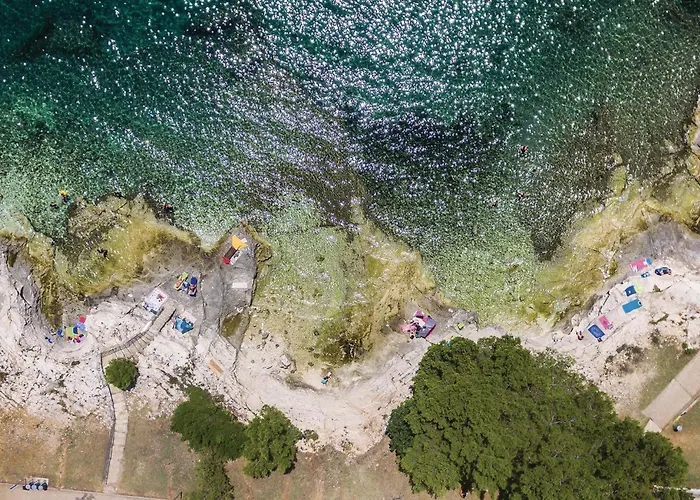 Dracice Vi 아파트 풀라